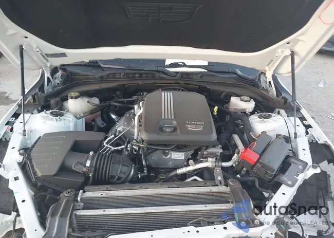 1G6DB5RK3P0137962: 43684753