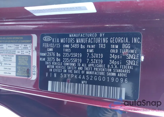 5XYPK4A52GG019096: 43684766