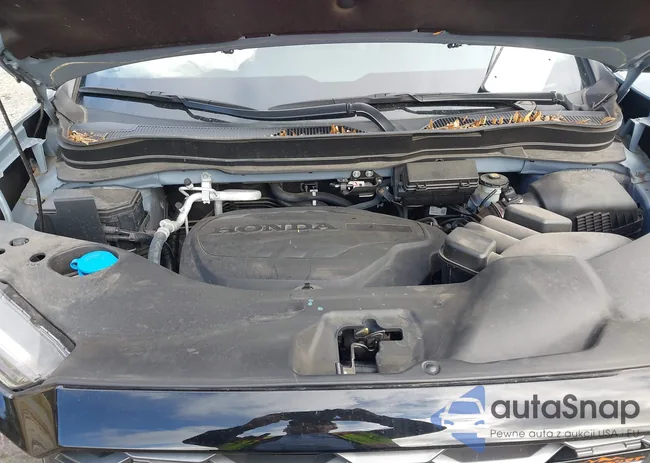 5FNYF8H69PB020994: 43684999