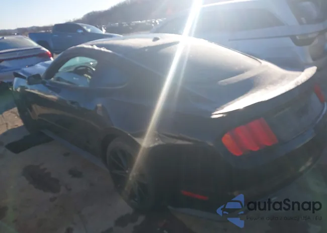 1FA6P8CF0F5355353: 43686195