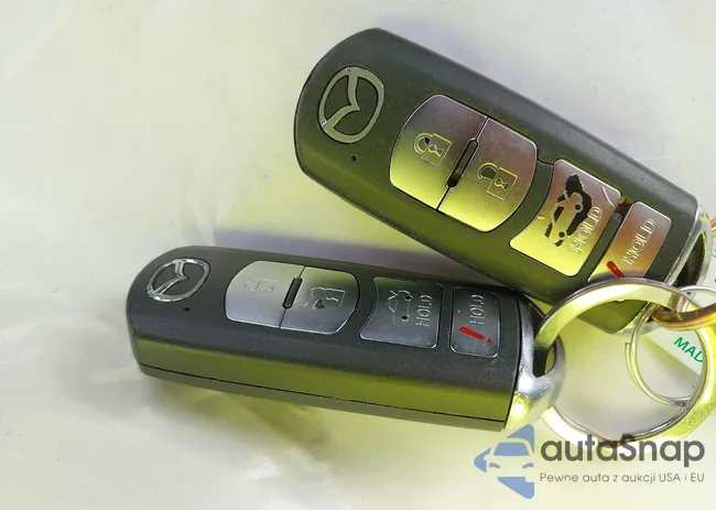 JM1BL1VP0D1783123: 43685899