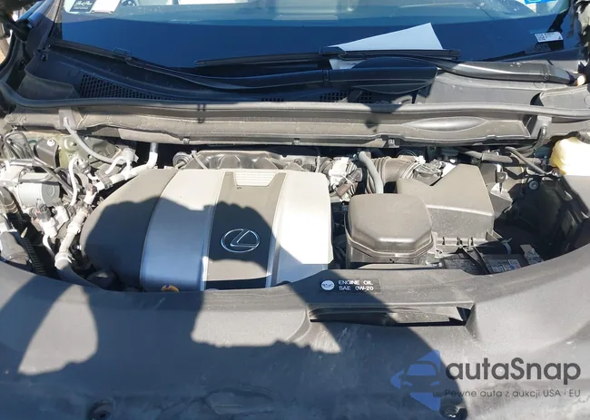 2T2HZMAA2NC259721: 43685961