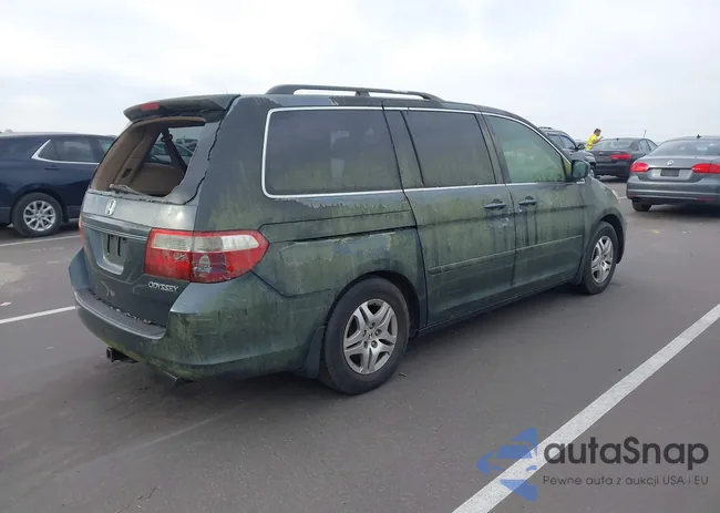 5FNRL38665B018181: 43687297