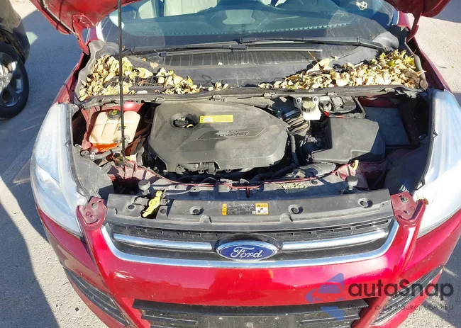 1FMCU0HXXDUD38096: 43687579