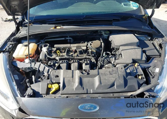 1FADP3F29FL201710: 43688213