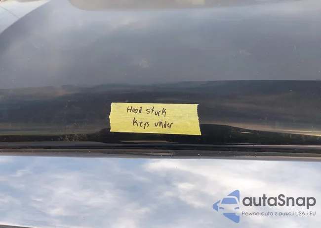 5TFEY5F13DX137801: 43689356