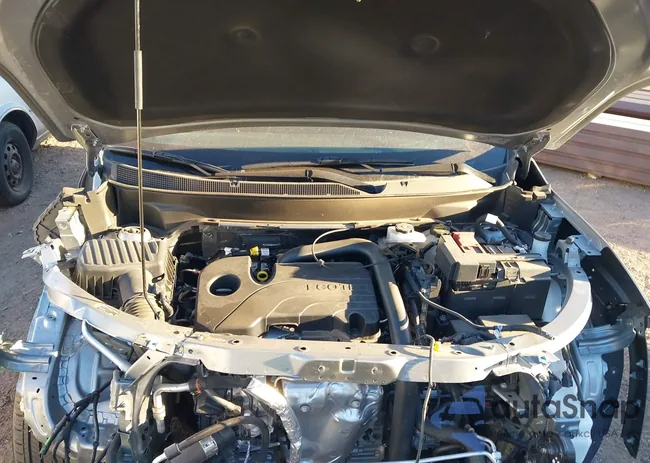 3GNAXPEG4SL324063: 43689598