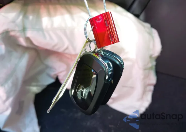 2HGFE2F58PH554310: 43690304