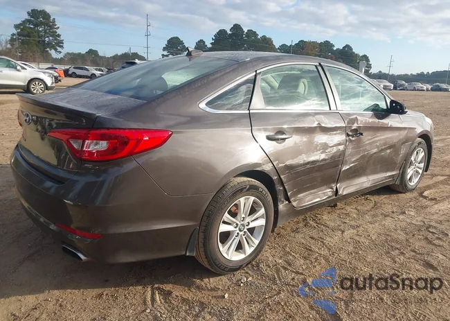 5NPE24AF3FH252816: 43690353