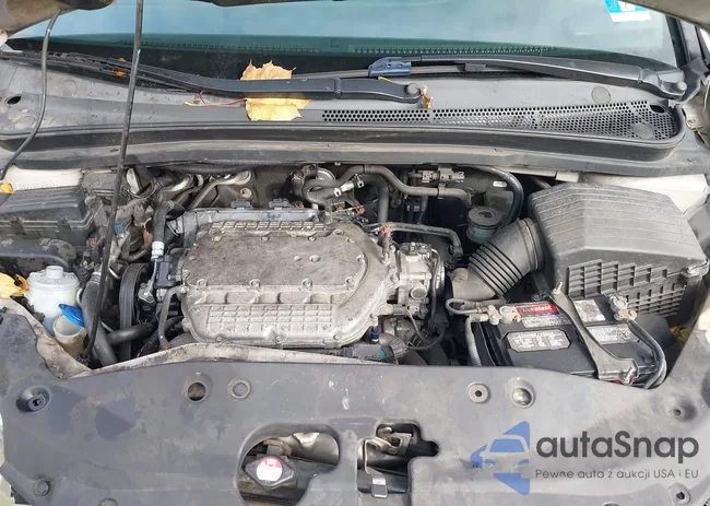 5FNRL38796B452539: 43690465