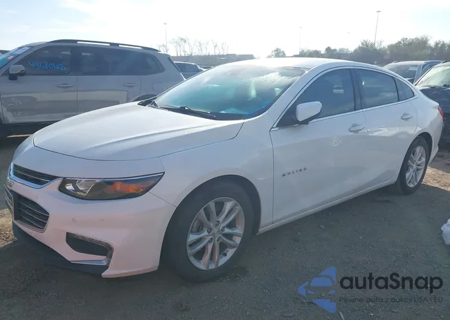 1G1ZJ5SU8GF243069: 43690551