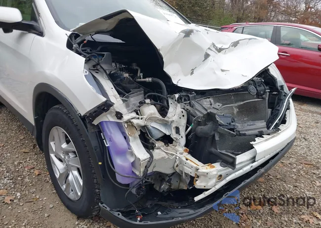 5J6RM4H55FL124267: 43689725