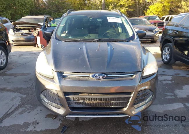 1FMCU0GX0FUB96605: 43690039