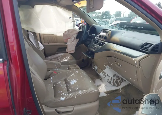 5FNRL38655B406048: 43691121