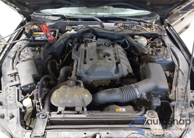 1FA6P8THXG5204636: 43691621