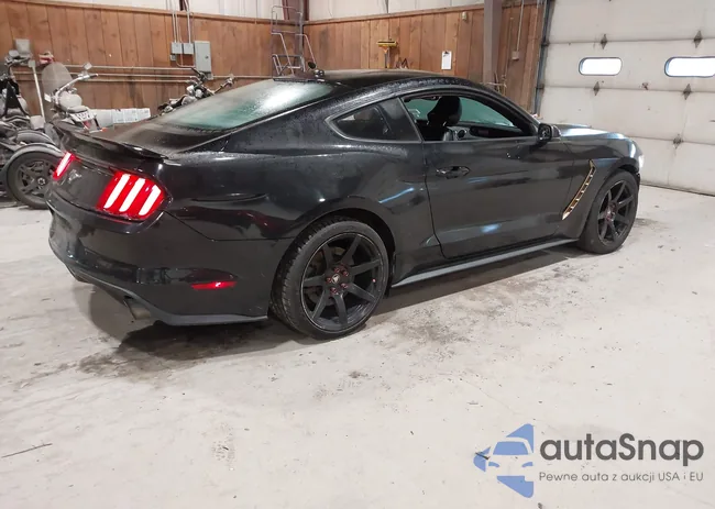 1FA6P8THXG5204636: 43691621