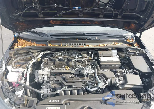 5YFB4MDE4SP332400: 43691632