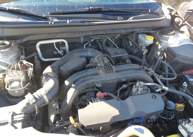 4S4BSANC7H3343664: 43694311