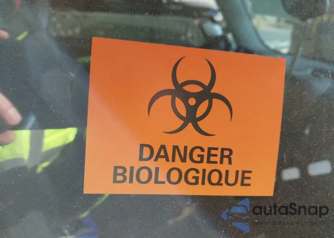 WMWMF73519TW83349: 43694417