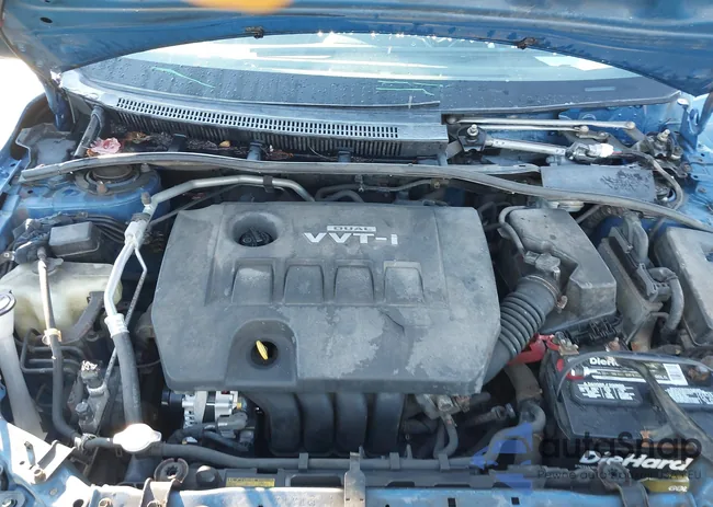 2T1BU4EEXAC393666: 43694473