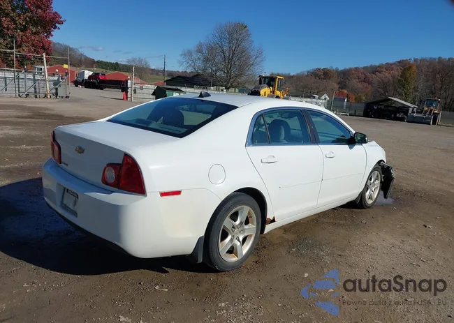 1G1ZB5E06CF207218: 43695564