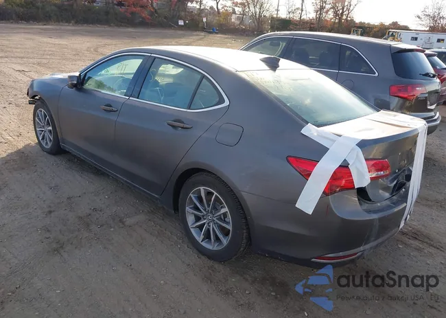 19UUB1F38LA005109: 43695612