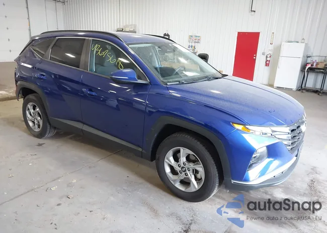 5NMJBCAE6PH196465: 43695618