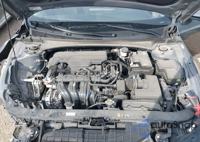 5YFEPMAE0MP236663: 43694773