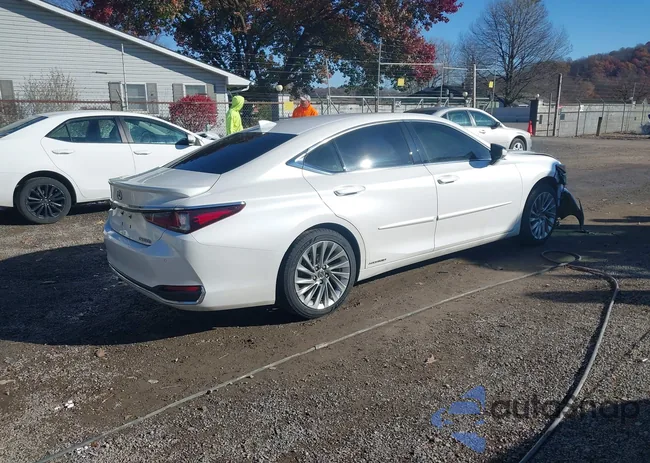 58AFA1C19MU001166: 43695059