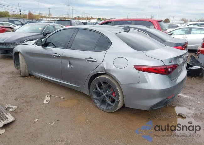 ZARFANBN0L7637064: 43695867