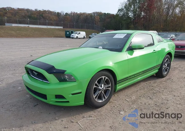 1ZVBP8AM1E5232294: 43696045