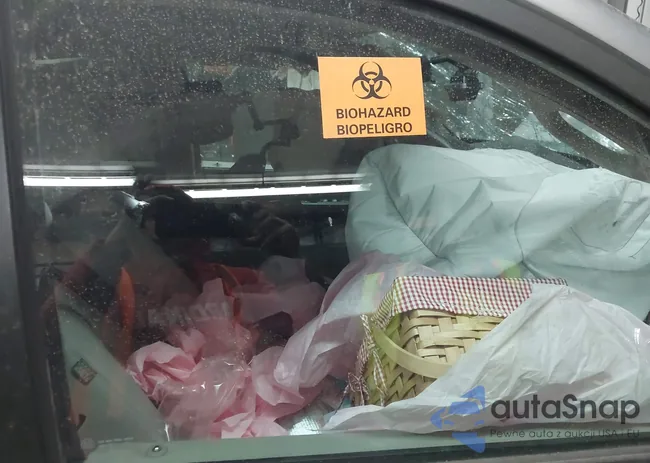 2C4RDGCG2DR636847: 43697126