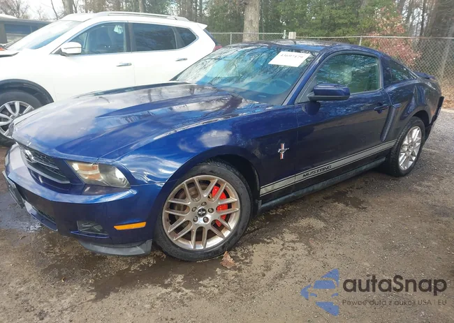 1ZVBP8AM2C5258092: 43697179