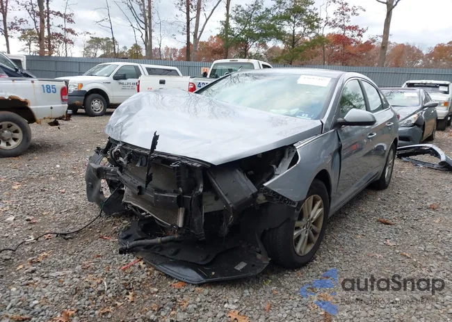 5NPE24AF5FH246239: 43697485