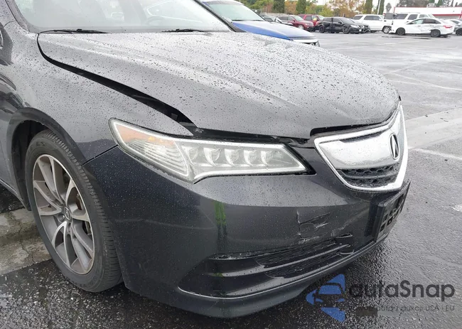 19UUB3F56FA002954: 43699089