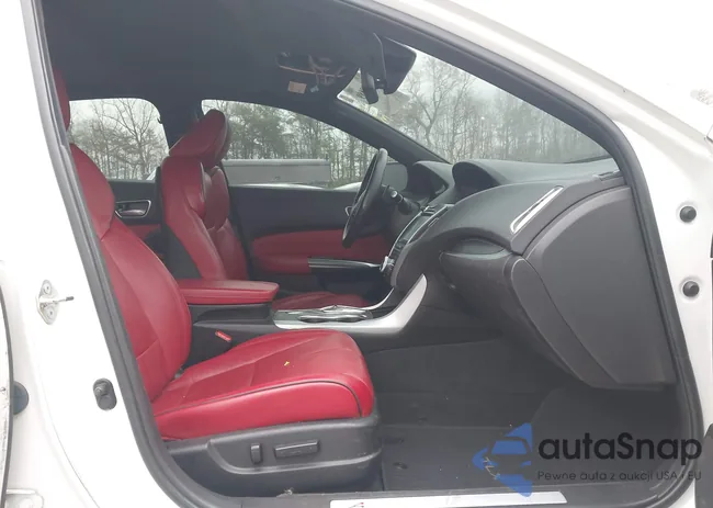 19UUB2F63KA005923: 43698889