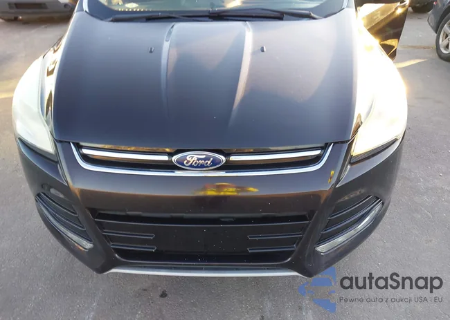 1FMCU0HX3DUC90098: 43701155