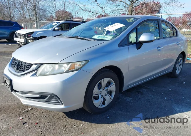 19XFB2F55DE206981: 43700682