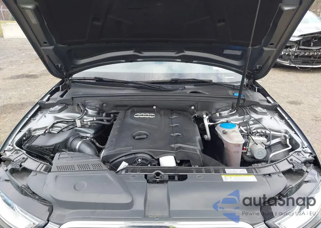 WAUFFAFL2GN003976: 43700783