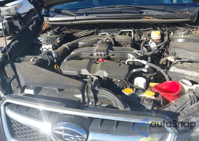 JF2GPACC4E8345483: 43702343