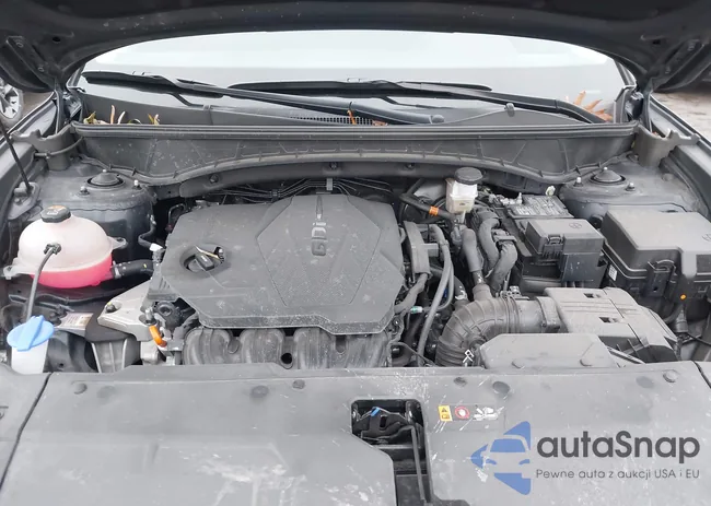 5NMJBCDEXRH320266: 43702401