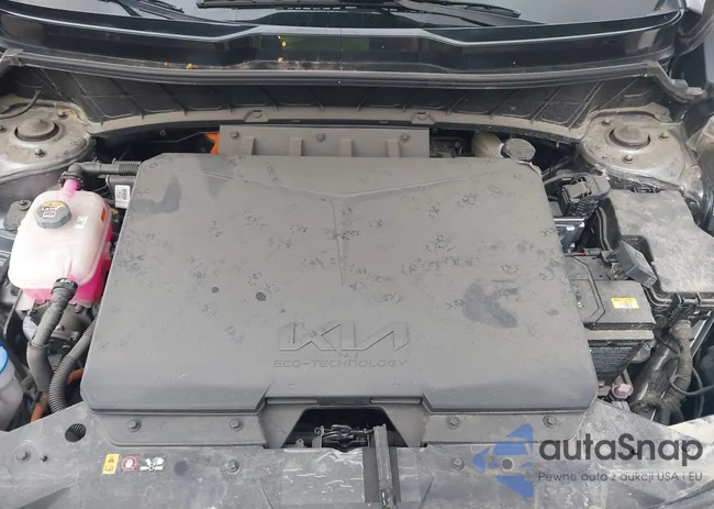 KNDCR3L11R5122388: 43702553