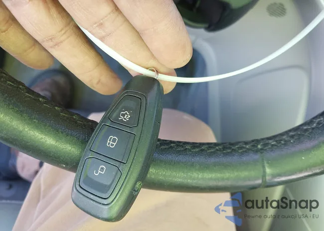 1FADP5BU2GL106524: 43701866