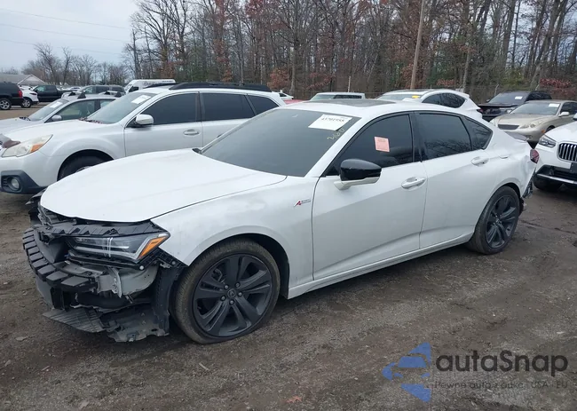 19UUB5F57PA007206: 43701955