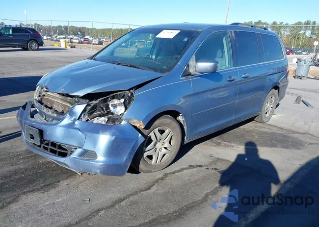 5FNRL38467B036519: 43702862