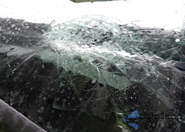 1GCGTBEN0L1233137: 43702867