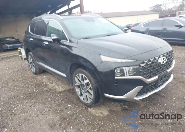 5NMS5DAL0PH649396: 43704286