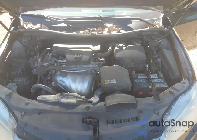 4T1BF1FK1GU263294: 43703934