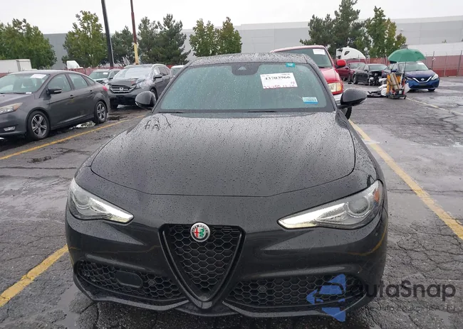 ZARFAMBN8N7663554: 43703966