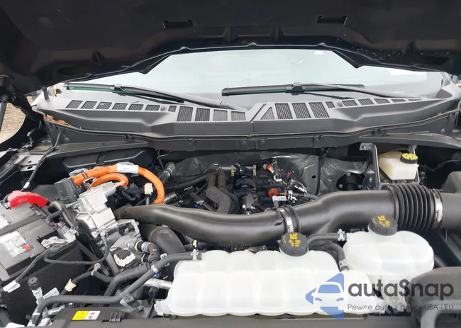 1FTFW3LD1RFB77823: 43705116